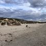 Claytons Beach