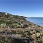 Jindee Beach