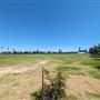 Langley Park