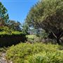 Victoria Gardens