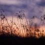 Derby - Landscapes