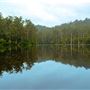 RAC Karri Valley Resort