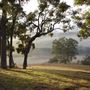 Bridgetown