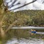 Dwellingup State Forest