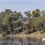 Northam