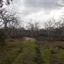 Capercup Nature Reserve