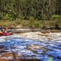 Dwellingup State Forest
