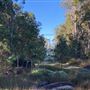 Shambala Forest Retreat