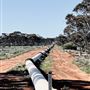 Coolgardie