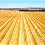 Wheatbelt Region