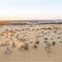 Pinnacles - Nambung National Park