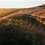 Wave Rock
