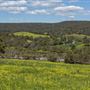 The Chittering Valley