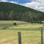 Nannup