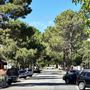 Fremantle City