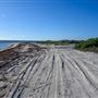 Milligan Island Eco Camping