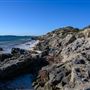 Milligan Island Eco Camping