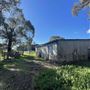 Shearing Shed @ Duke's Vineyard