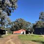 Shearing Shed @ Duke's Vineyard