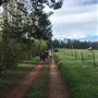 Murray Farm