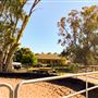 11 Dalgetty Road