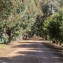 Alwyn Park Stud