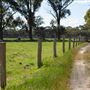 Alwyn Park Stud