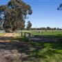 Alwyn Park Stud