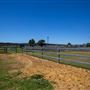Gold Front Breeding & Racing