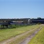 Gold Front Breeding & Racing