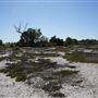 Whiteman Park - Flats for Build