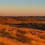 Pilbara Region