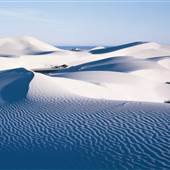 Eucla Rolling Dunes