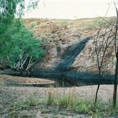 Middle Springs East Kimberley