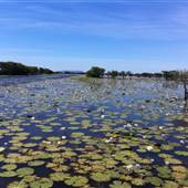 Parry Lagoons Nature Reserve