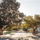 Dongara - Port Denison