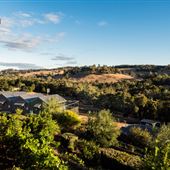 Little Hill Farm Bridgetown