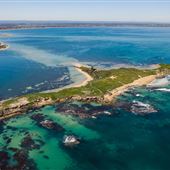 Penguin Island Conservation Park