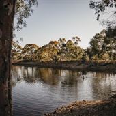 Merredin Railway Dam