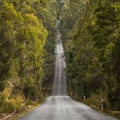 Denmark/Albany Forest Roads