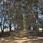 Mount  Richards Rd -Kalgan