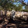 Broome - Cemetery