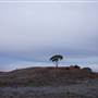 Coolgardie Outskirts