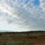 Coolgardie Outskirts