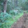 Beelu National Park