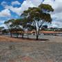 Kambalda West
