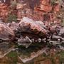 Kimberley-Charnley River Rainforest