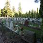 Karrakatta Cemetery
