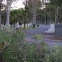 Karrakatta Cemetery