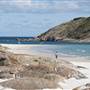 Shelter Island and beach, Albany